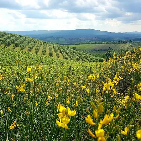 I Quercioli, Siena Chianti Estate, Private Heated Pool, Breathtaking View Villa