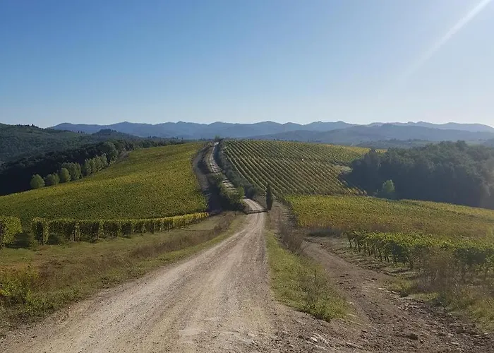 I Quercioli, Siena Chianti Estate, Private Heated Pool, Breathtaking View Villa Castelnuovo Berardenga